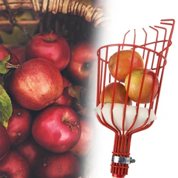 Multi-funktsionaalne aiatööriistad Praktiline Klassikaline Metallist Õunad, Pirnid, Virsikud, Apelsinid Aiandus Puuviljad Püüdja Korjaja