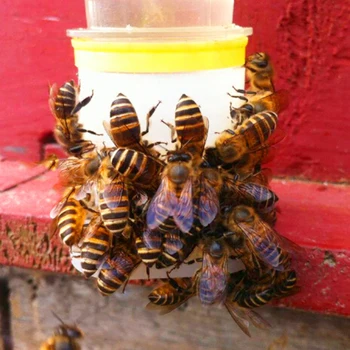Mesilaste Joomine Purskkaevud Pesa Ukse Söötja Mesipuu Pesakast Queen Bee Joomine Investor-Mesinduse Tööriist 20 Tk