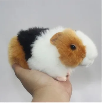 2019 Uute Tulijate Väike Armas Simulatsiooni Hamster Palus Mänguasjad Merisiga Nukud Saada Meeste Ja Naiste Sõbrad Kohal